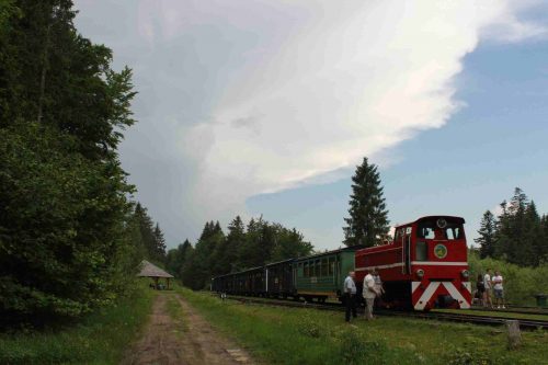 Lesná železnička z čias Rakúsko-Uhorska