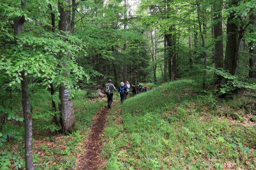 Časť slovensko-poľského hraničného hrebeňa kopíruje poľské a slovenské turistické chodníky