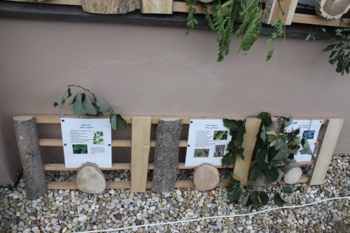Detail panelov poznávačky drevín