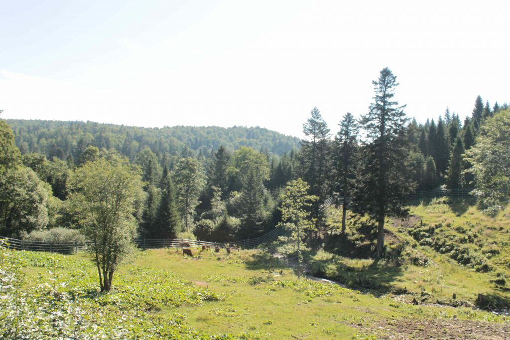 Zubria ohrada v Mucznom zaberá 7 km. Nachádza sa asi 2 km od rovnomennej dediny, na trase Stuposiany – Tarnawa Nižna.