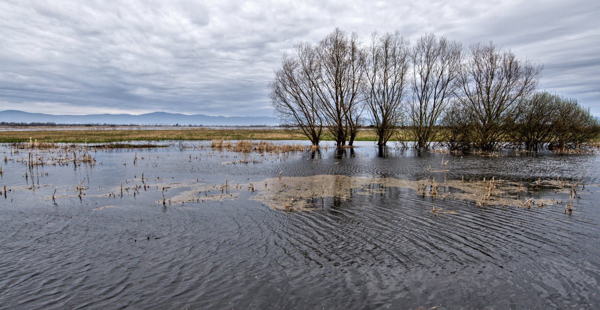 NPR Senianske rybníky. Zdroj: Správa CHKO Vihorlat.