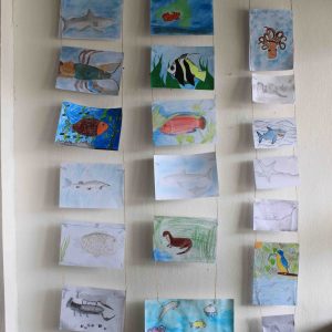 vodný svet nakreslený na papieri