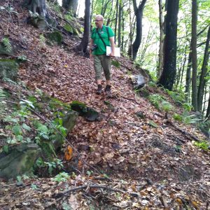 Monitoring biotopu európskeho významu Silikátové skalné steny a svahy so štrbinovou vegetáciou v PR Borsučiny.