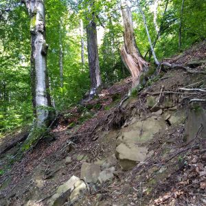 Aktívny zosuv tvarujúci v súčasnosti geomorfologický povrch.