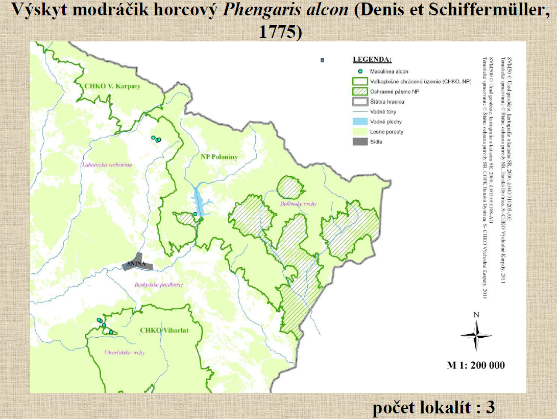 Výskyt druhu Maculinea alcon v okrese Snina.