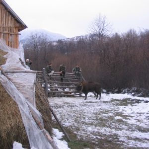 Zubry opúšťali oboru za veľkého záujmu médií a vedeckej obce, no zároveň s prirodzeným rešpektom ľudí voči nim.