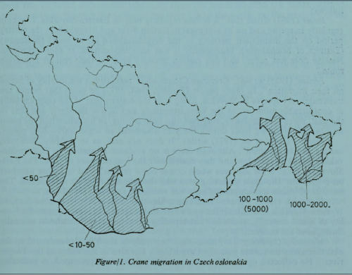 migrácia na Slovensku