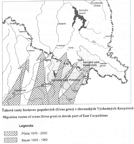 ťahové cesty žeriavov popolavých v slovenských Východných Karpatoch