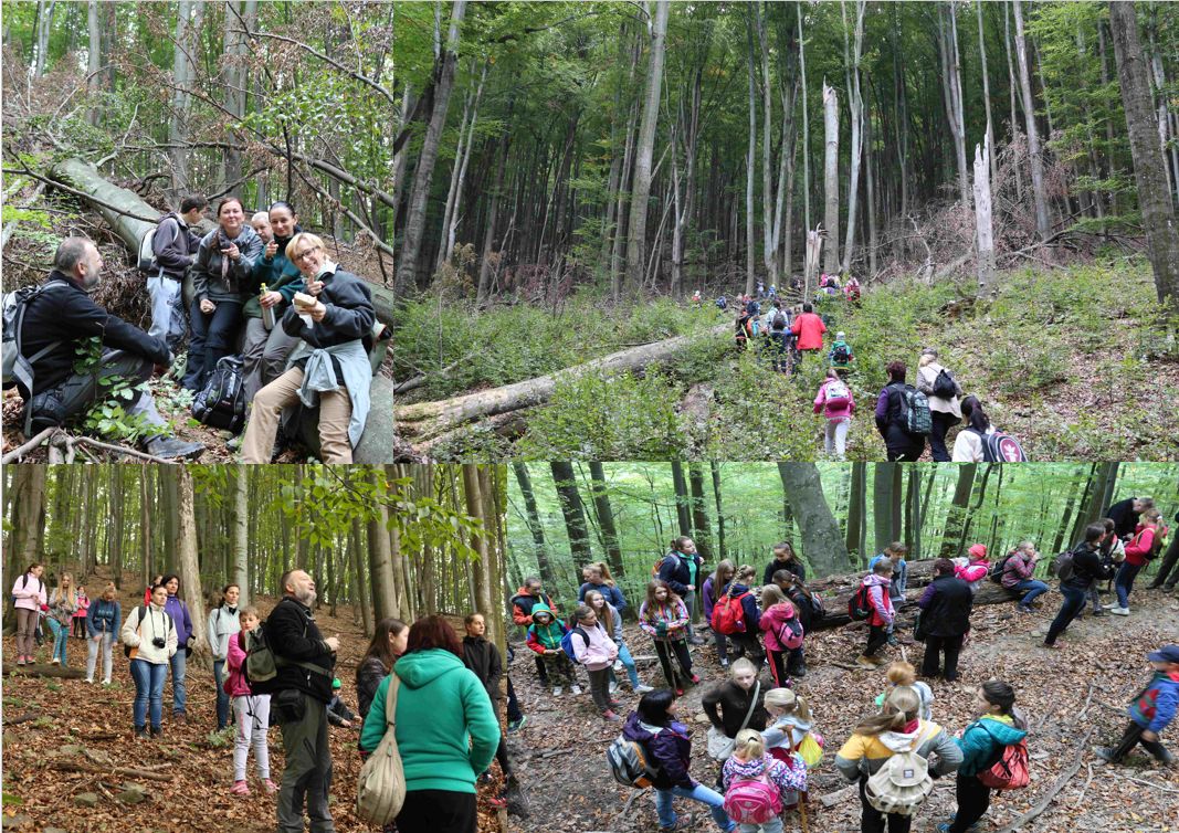 účastníci v pralese spolu s pracovníkmi NP