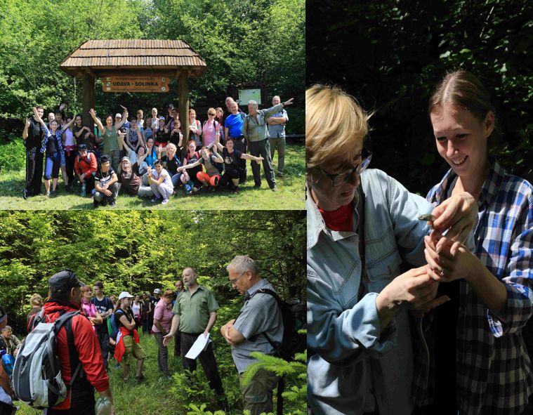 PR Udava a vstupná brána