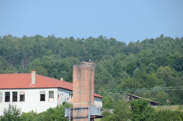 záber na komín s hniezdom