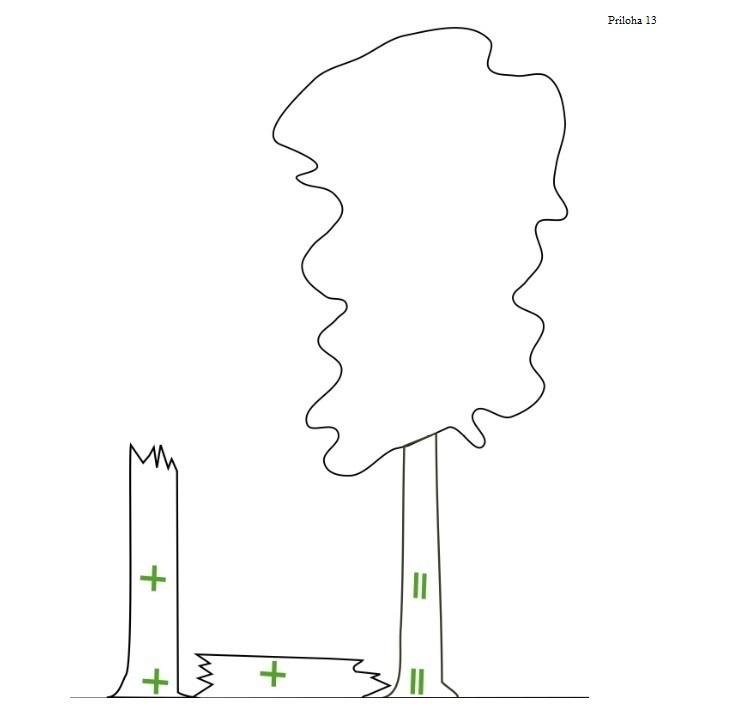  Kríž zelenej farby predstavuje terénne označenie ponechaného hrubého mŕtveho dreva, čo je tiež ďalšie osobitné opatrenie projektu OPKŽP, ktoré sa zatiaľ nerealizuje.