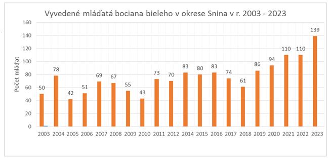 Vyvedené mláďatá bociana bieleho v okrese Snina v rokoch 2003 až 2023, počet popísaný v článku