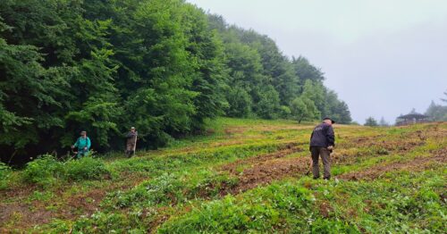 Pracovníci Správy NP Poloniny v akcii