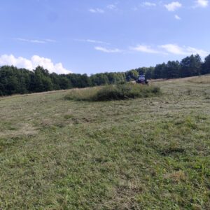 kosenie Májkovej lúky