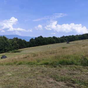 kosenie Májkovej lúky, druhý záber