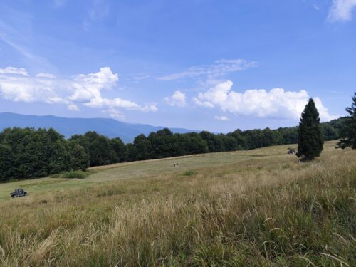 kosenie Májkovej lúky, tretí záber
