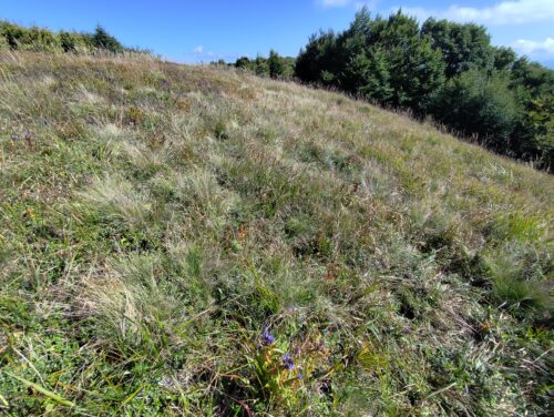 pohľad poloninské lúky pri Riabej skale