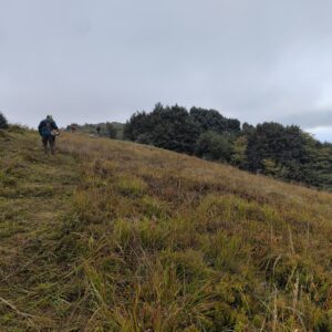kosenie poloninských lúk na Karpatskom hrebeni