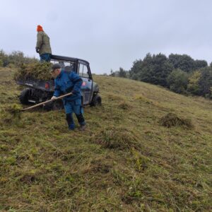 odvoz pokosenej biomasy z poloninských lúk, druhý záber