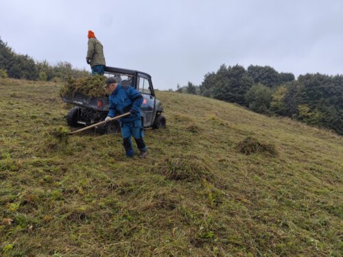 odvoz pokosenej biomasy z poloninských lúk, druhý záber