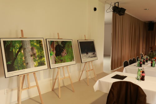 Tri veľkoformátové fotografie divokej prírody vystavené na stojanoch pri stene miestnosti.