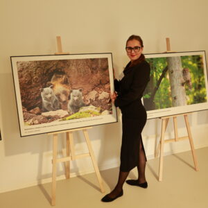 Veľkoformátové fotografie vystavené na stojanoch pri stene miestnosti spoločne so zamestnankyňou Správy NP Poloniny.