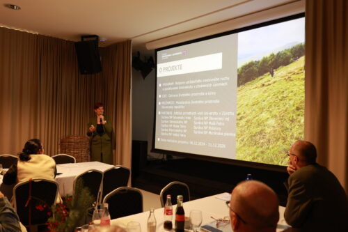 Prezentácia Ing. Daniely Galandovej.