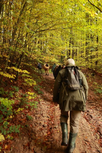 Účastníci exkurzie v pohybe.