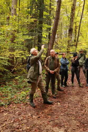 Výklad Ing. Giča pri NPR Stužica.
