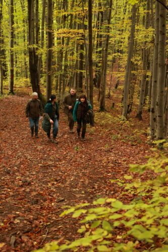 Účastníci exkurzie v pohybe smerom na slovensko-poľský hraničný hrebeň.