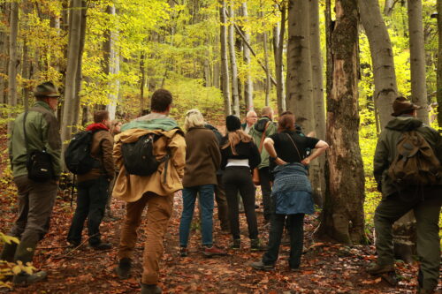 Zastávka pod Čierťažou.