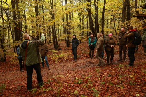 Výklad Ing. Milana Piroša.
