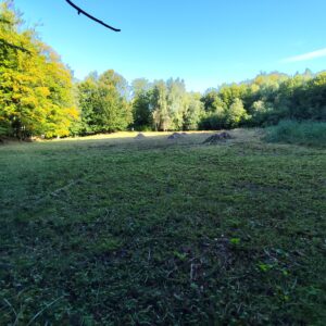 pokosená Stinská slatina - druhý záber