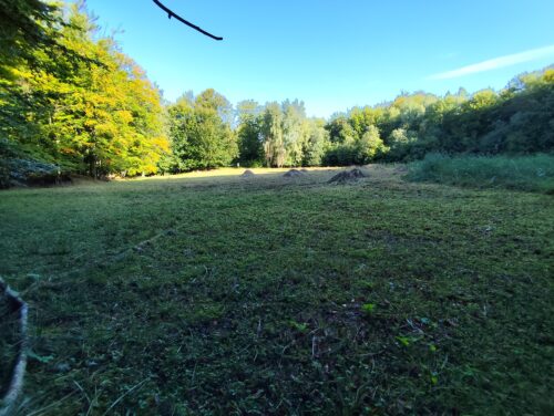 pokosená Stinská slatina - druhý záber