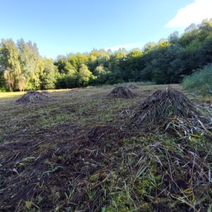 Pokosená Stinská slatina