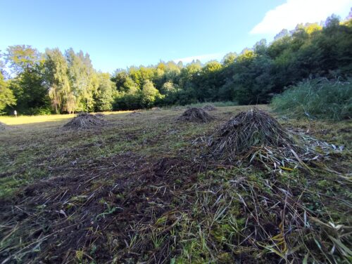 Pokosená Stinská slatina