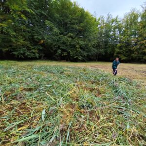 kosenie pracovníkom S-NP Poloniny