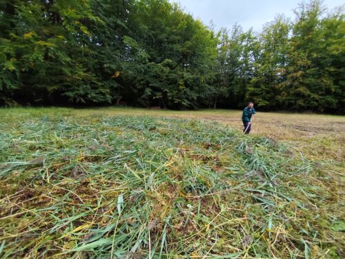 kosenie pracovníkom S-NP Poloniny