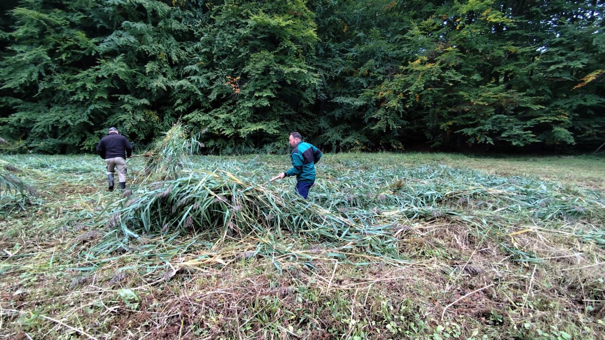 manažment činnosti
