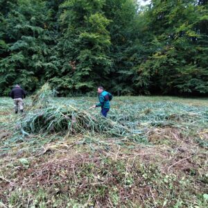 manažment činnosti