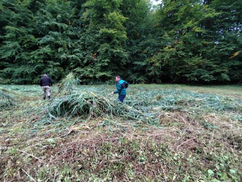 manažment činnosti