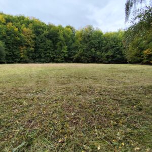 Stinská slatina - druhý záber