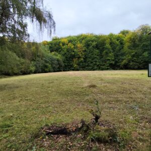 Stinská slatina - prvý záber