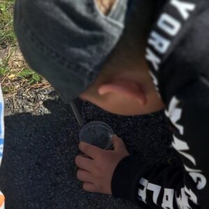 pozorovanie hmyzu pod Petriho miskou dvoma žiakmi