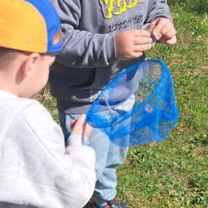 chytanie hmyzu do sietí