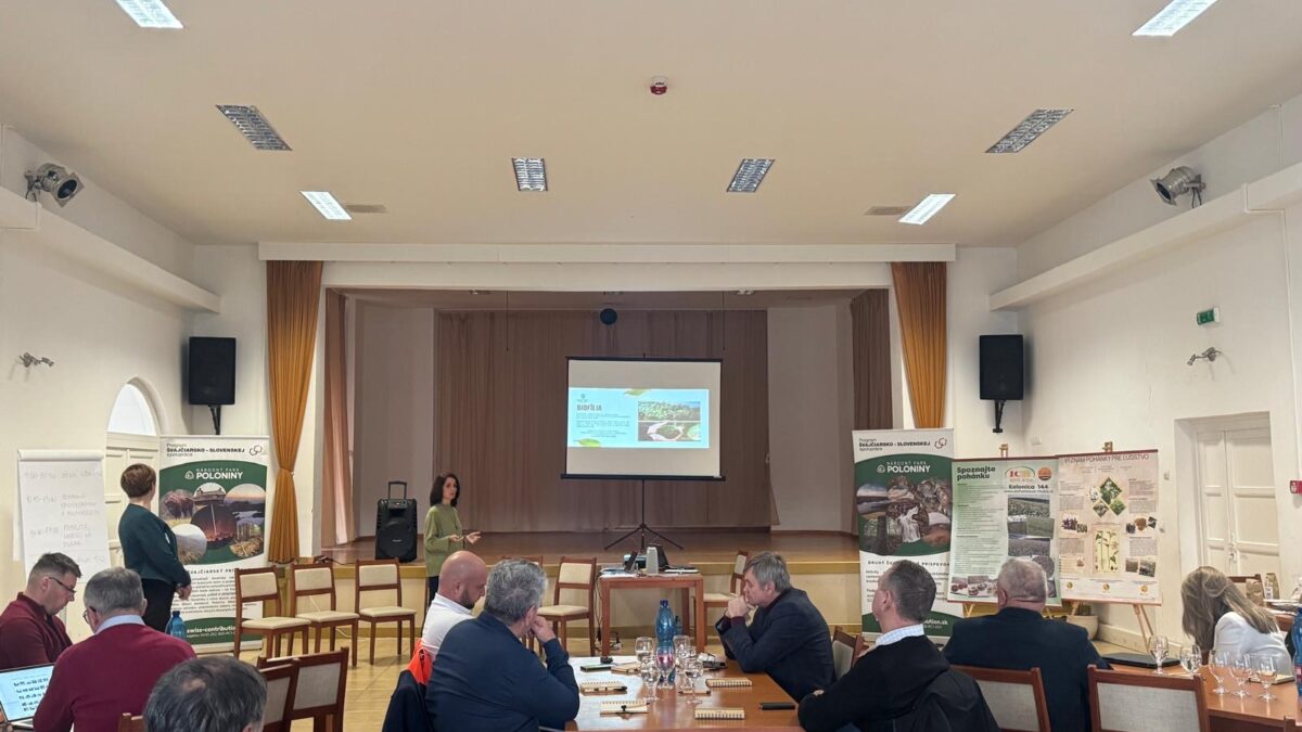 záber z workshopu na účastníkov