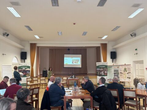 záber z workshopu na účastníkov