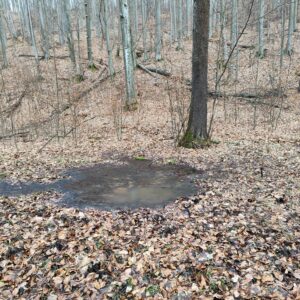 nálezisko z diaľky