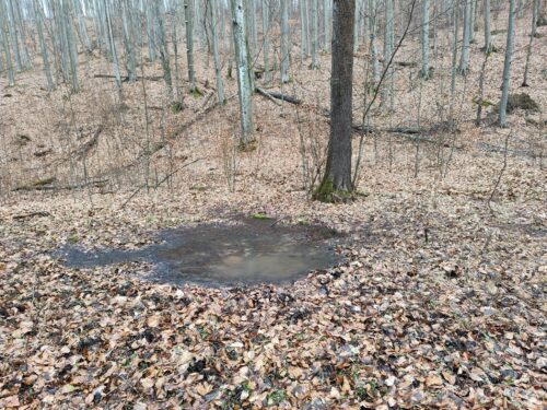 nálezisko z diaľky